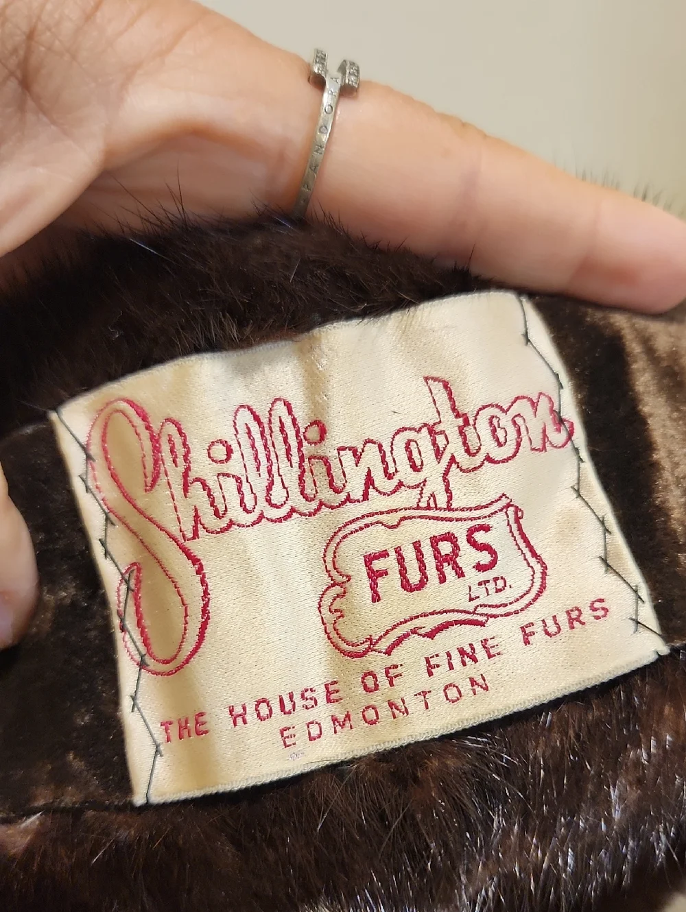 SHILLINGTON FURS Luxury Dark Brown Fur Scarf